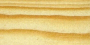 Grenen Europees